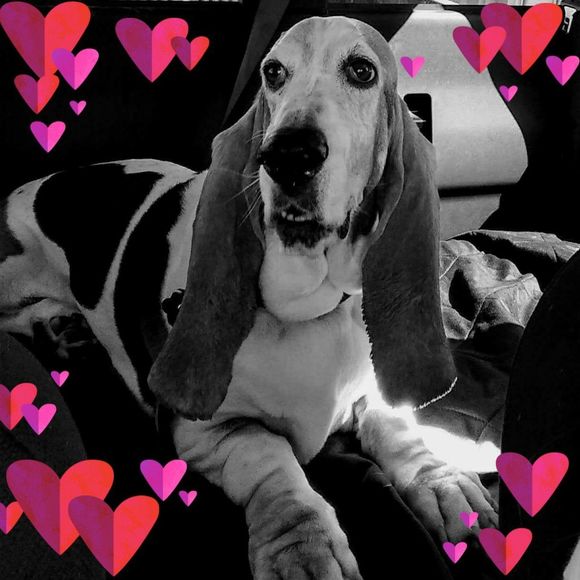 Meet your Posher, Tera - Picture 1 of 1